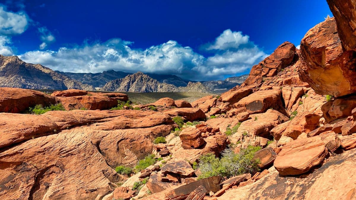 Red Rock Canyon Tour from Las Vegas
